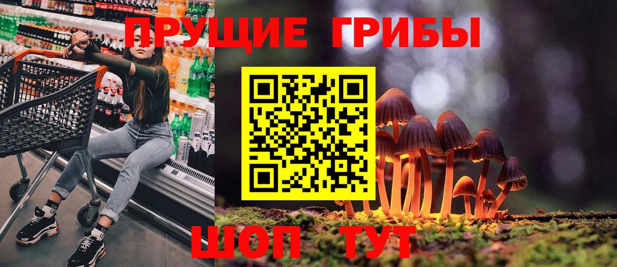 Пугачёв  Псилоцибиновые грибы мицелий  Вход с VPN 