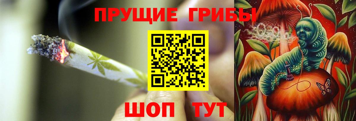 Галлюциногенные грибы MAGIC MUSHROOMS Пугачёв